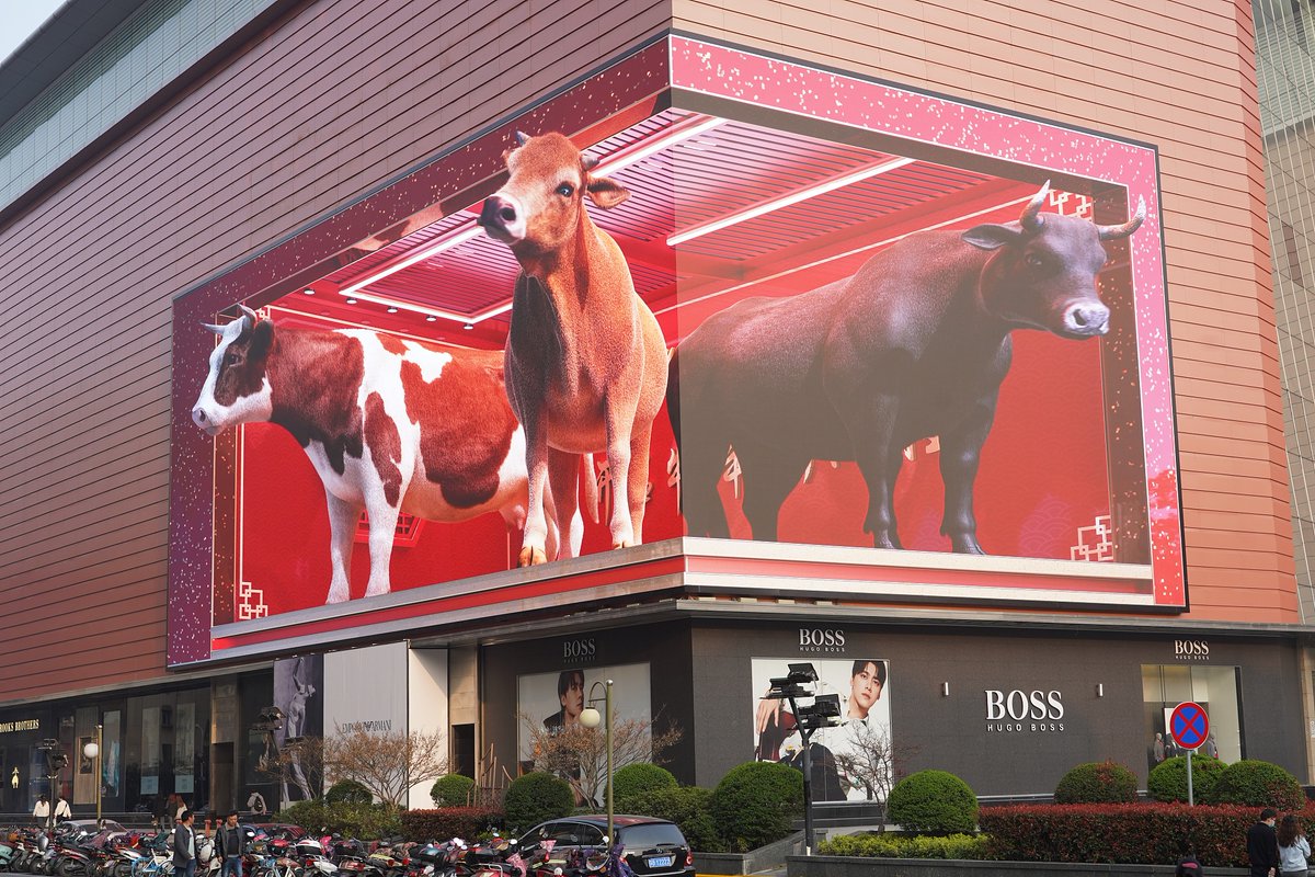 CocoStudio4's tweet photo. L'océan au-dessus de la rue, des bœufs passent la tête par le mur ?! Au coin d'une rue de la ville de Wuxi, dans la province du Jiangsu en Chine, un écran auto-stéréoscopique géant attire le regard des visiteurs. #technology #3D #autostereoscopy #China https://t.co/pIJ8woOhjW