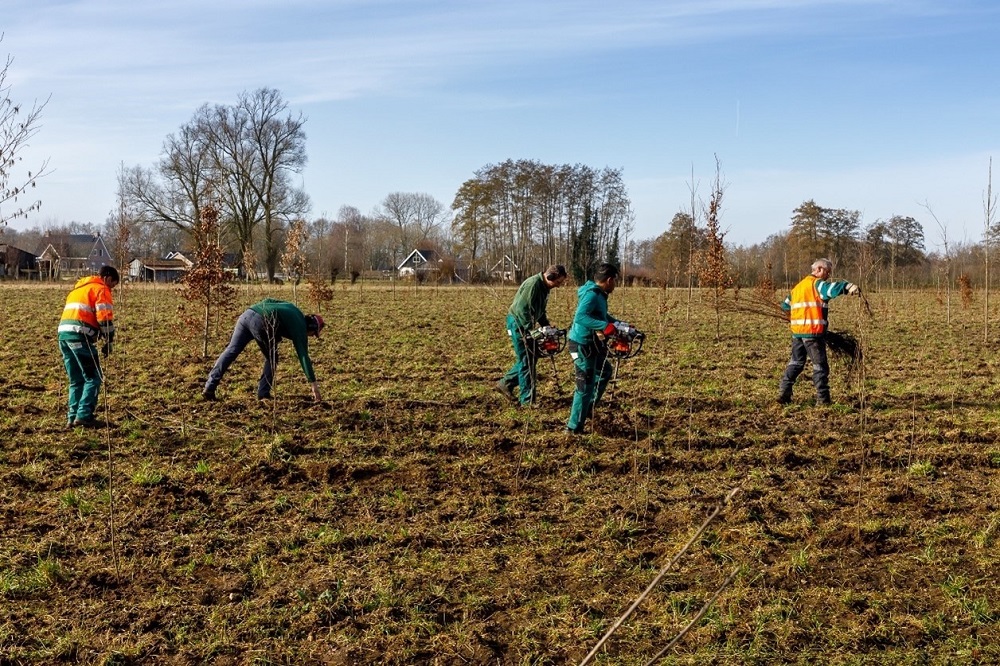 provgelderland's tweet photo. Een nieuw natuurgebied bij Epe is klaar. Van de ruim 6 hectare grond is 3,5 hectare beplant met nieuwe bomen. In totaal leggen we 1.700 hectare nieuw bos aan in Gelderland ➡️ https://t.co/UVvCHJOok6 https://t.co/7PVcrzNJKI