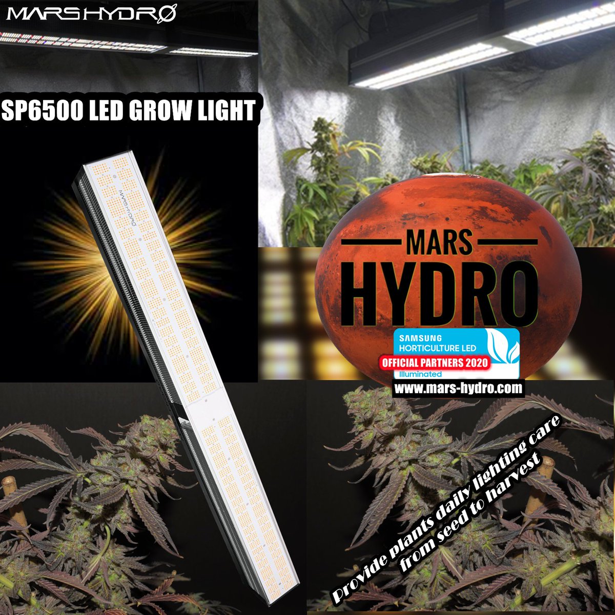 Mars Kingdom (kingdom_mars) Twitter