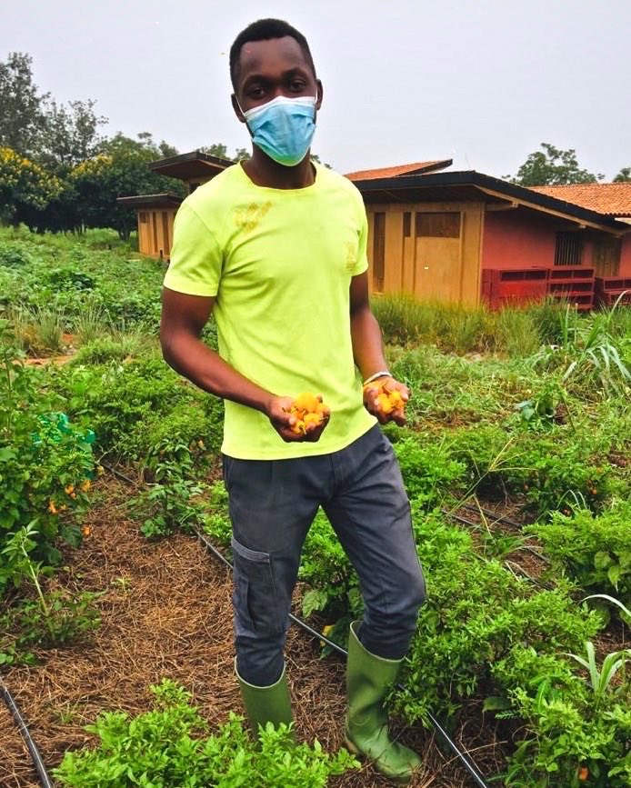 RICA_Rwanda's tweet image. RICA students finished harvesting African yellow peppers. Peas and beans will be their next crops. #Rwanda_Edu, #RwandaAgri