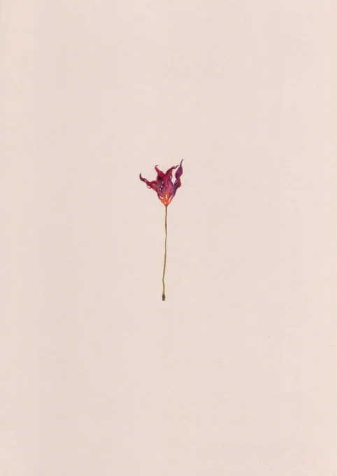花は咲く、、咲き続ける 