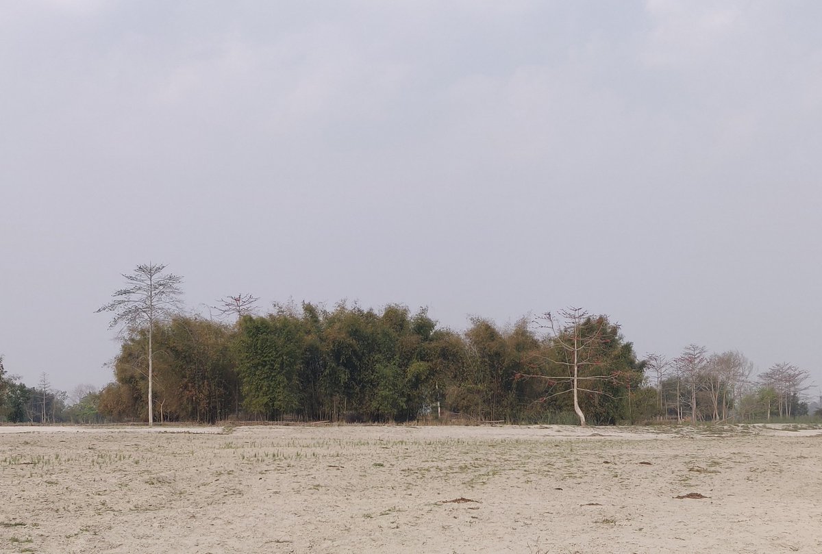 varshasuman's tweet image. #sandbars #assam