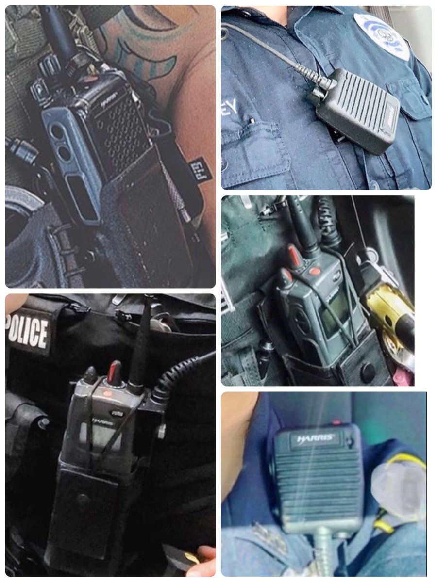 初めてのle装備 #le #le装備 #le小物