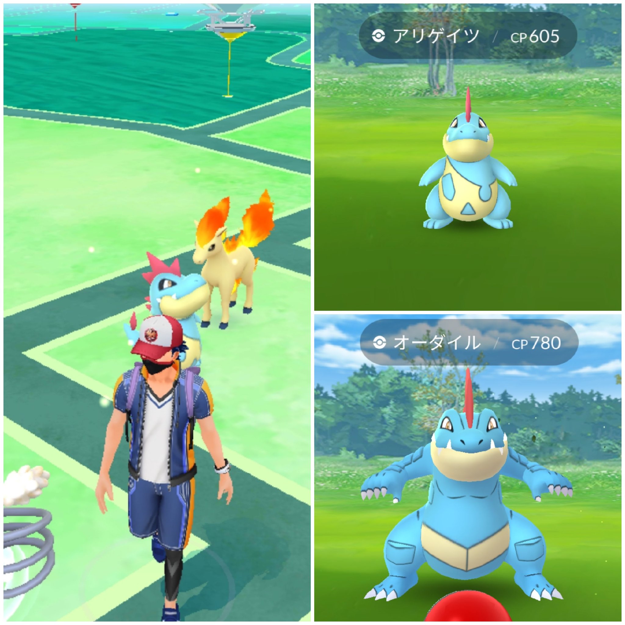 تويتر Amazinghisa على تويتر 今日のポケモンgo活動2 ミニリュウタップしたら 光った ノ 冒険モードは久々の50km超え 野生のアリゲイツやオーダイルと遭遇 レイドアワーで化身ボルトロス最終戦 光らなかったが 木の実なしで捕獲