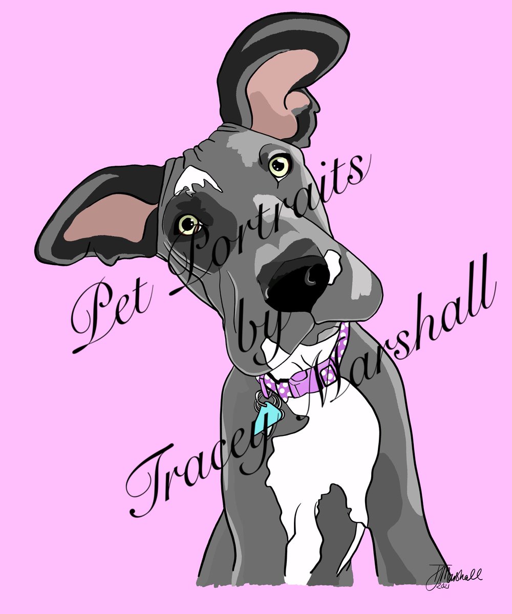 “It’s Monday already......Whaaaat!?” #greatdane #petportaits #digitalart #art #artist #bigdog #cute #mondaythoughts #artshare #customart #ppbytm #drawing #procreate #danes