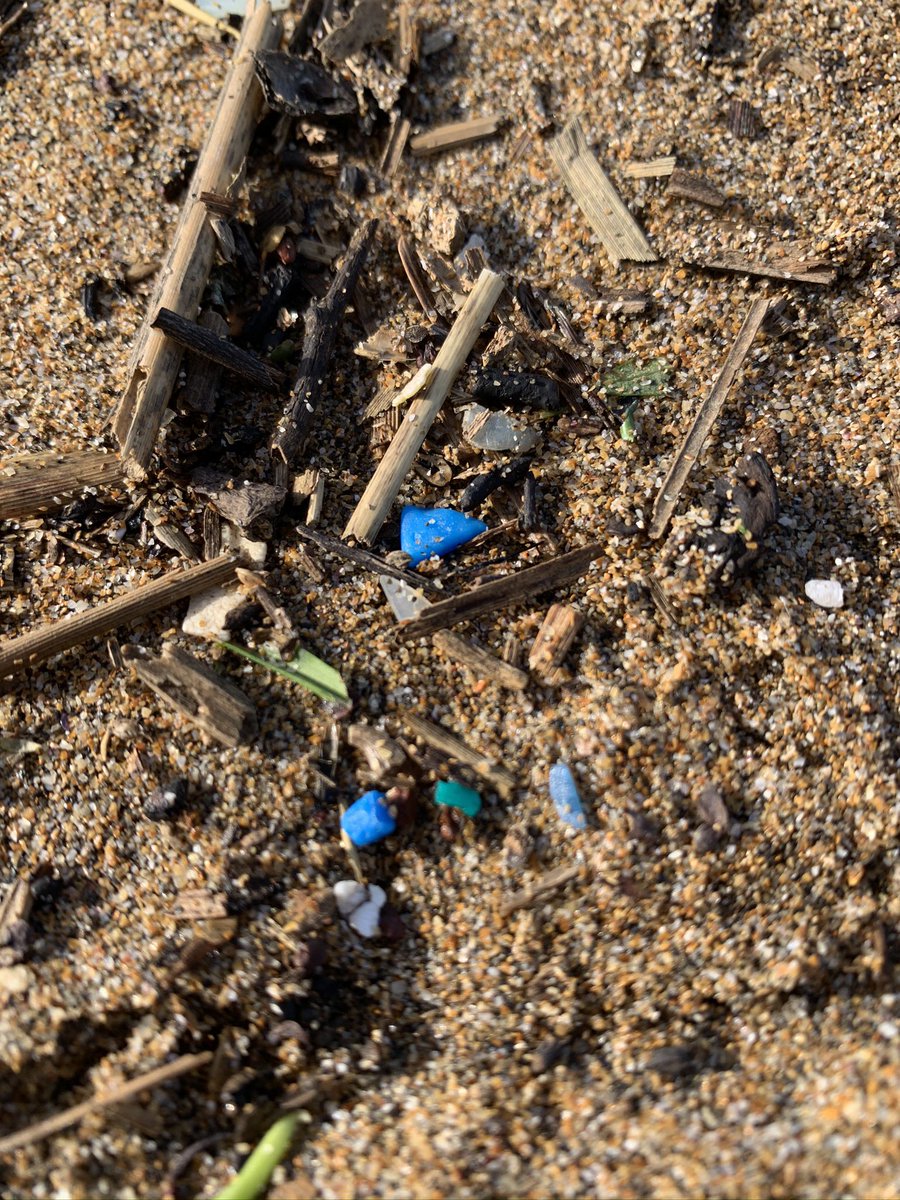 AvrilGreenaway's tweet image. Amazing to have the opportunity to talk about microplastic pollution - pervasive &amp;amp; omnipresent in our ocean, on our beaches &amp;amp; how I raise awareness through my artwork designs.  Me talking to MP who was an MP talking about MPs 😉🌏💙 #Microplastics #CleanerSeas #2minutebeachclean