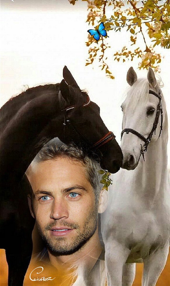 #Forever <a href="/surfgirldeb/">Deb Walker</a> <a href="/speedys77/">Jørn Rasmussen</a> <a href="/jobella09/">Jo Fox</a> <a href="/Trubble19/">Trubble19 miss lee 😘🍷</a> <a href="/LisaMcH08383413/">Lisa*❤🤟</a> <a href="/BarbaraKern66/">Barbara Kern</a> <a href="/Mylove_PwCe/">♥︎♥︎𝚨♥︎♥︎</a> <a href="/LeadinggirlPW/">For Paul ♥ #DoGood</a> <a href="/MonicaFacchin/">****Monica****</a> <a href="/monika_72721/">Nika</a> <a href="/Yoyaglosag/">Yoya 🖐️🇨🇱💛Justicia Divina</a> <a href="/BB_8Star/">Laurence</a> <a href="/Elliens_1426/">Ellien Wardhana</a> <a href="/Estelamessenger/">Estela  Cunha♥</a> <a href="/ShoppingTrine/">Elke Schütz</a> <a href="/twinkletoe_89/">twinkletoe</a> <a href="/teampww/">Paul Walker Fan Page</a> <a href="/paulwalker_bae/">Paul Walker Tribute</a> <a href="/vgarjun4/">Paul Walker FaN4ever</a> <a href="/paulwalkerfdn/">PaulWalkerFoundation</a>