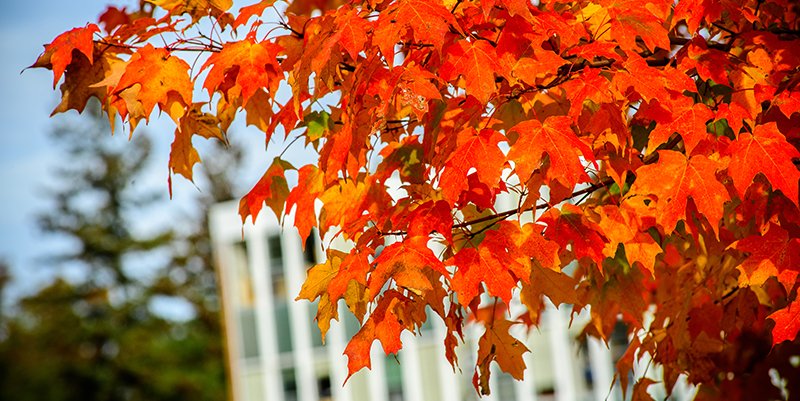 University of Vermont tweet media