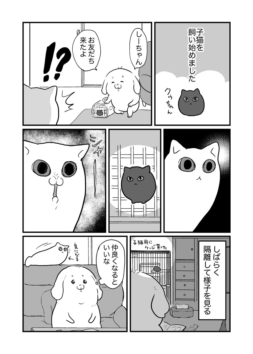 (再掲)クゥちゃんがきた 