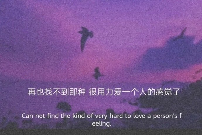 早点睡吧,没人在想你
只有你的头发在掉
痘痘在长 眼袋在下垂