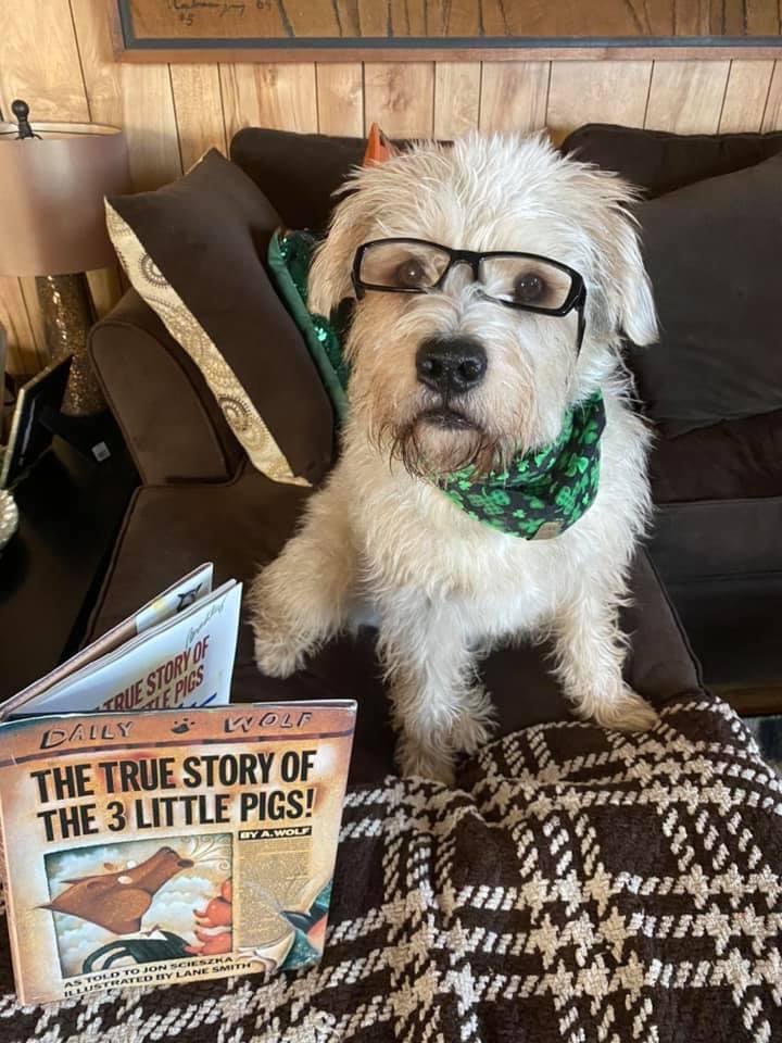 esasdeled's tweet photo. Virtual four-legged guest readers last week at Middle Smithfield~ GiGi and Luwee! @tailsfortales @drtabbradley @esasdseced https://t.co/lZ2hnOvehe