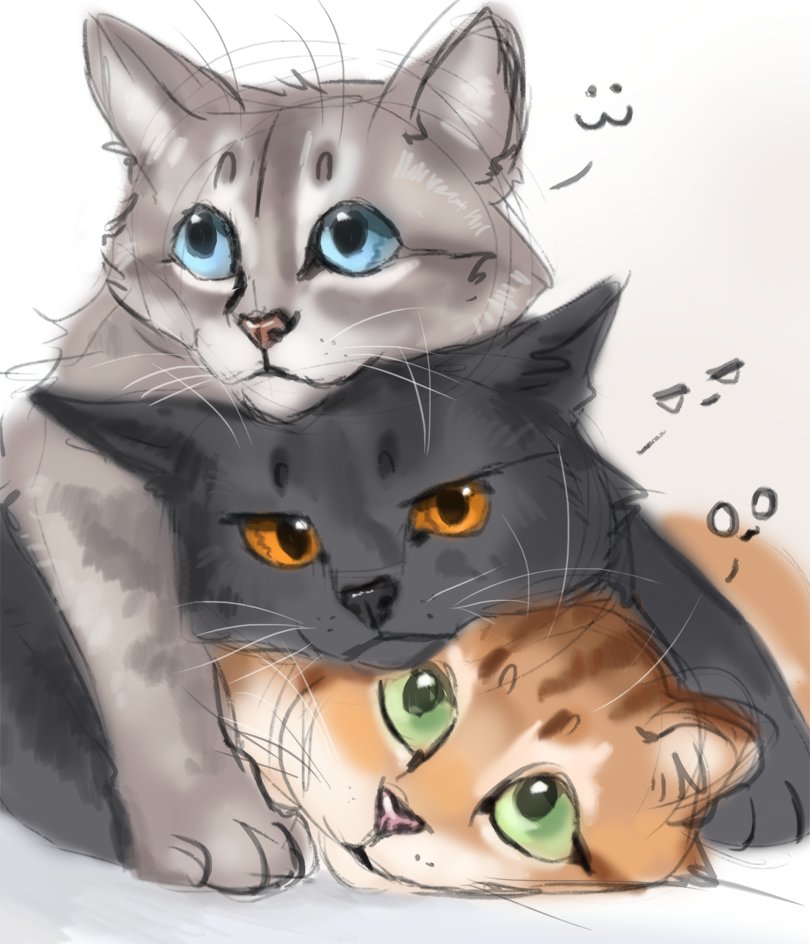 Ashfur by flash-the-artist  Warrior cat drawings, Warrior cats, Warrior cat