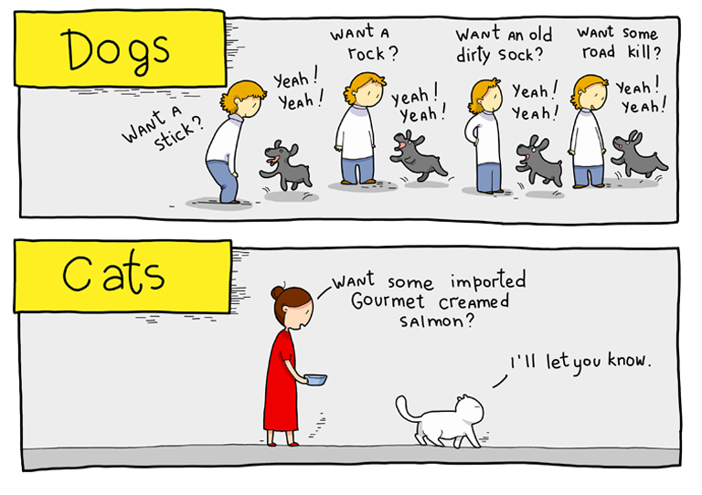 WayofCatsbook's tweet image. Cats: not substandard dogs. Which is a good thing. | the Way of Cats buff.ly/2LahPsG

Some people disparage cats for not being good at... being dogs. Which is ABSURD.
#CatsOfTwitter #CatLovers #CatPrejudice #CatMythbusting #CatSkeptics