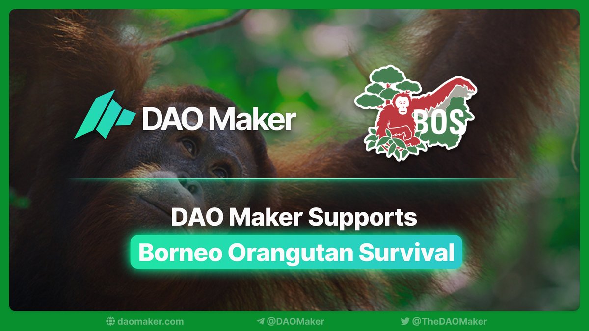 daomaker's tweet photo. DAO Maker Supports Borneo Orangutan Survival🦧
 
@bosdeutschland is a nonprofit charitable organization with a mission of creating a world where orangutans are free from the threat of extinction and can live in the wild, unharmed by humans.
 
https://t.co/wZDF8DKzB0
1/3 https://t.co/1PxoU2HxYf