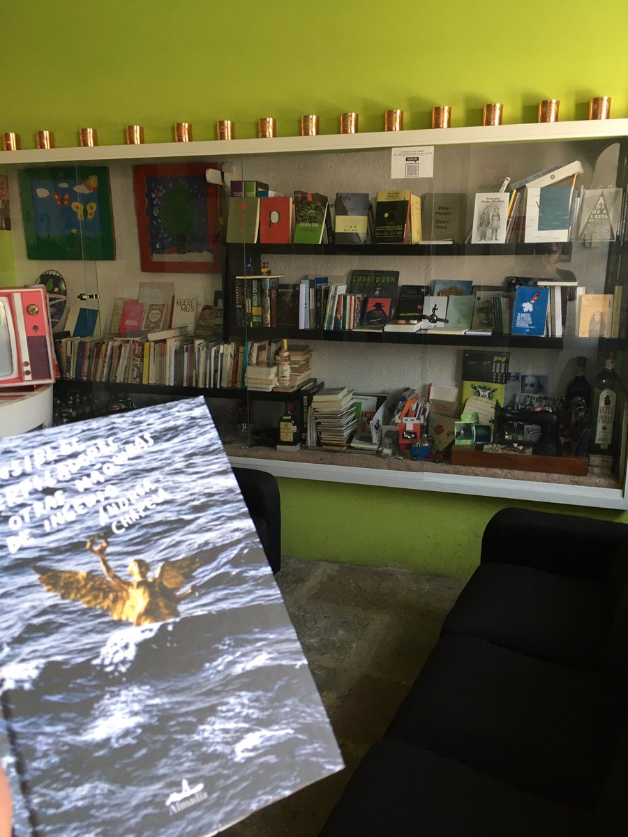 salalecturapoe tweet media