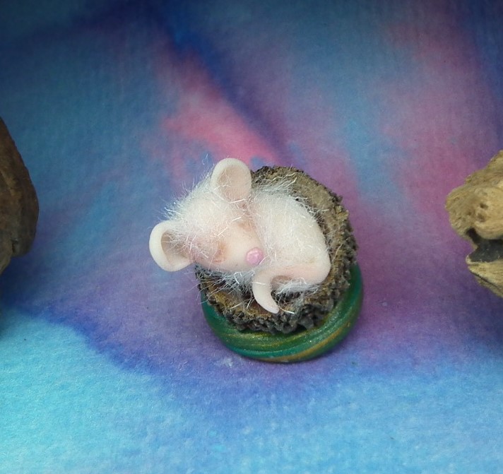 ElfWorldArtisan's tweet image. Isolde Spellbound Mouse in acorn cap ...

etsy.me/30KFxoF