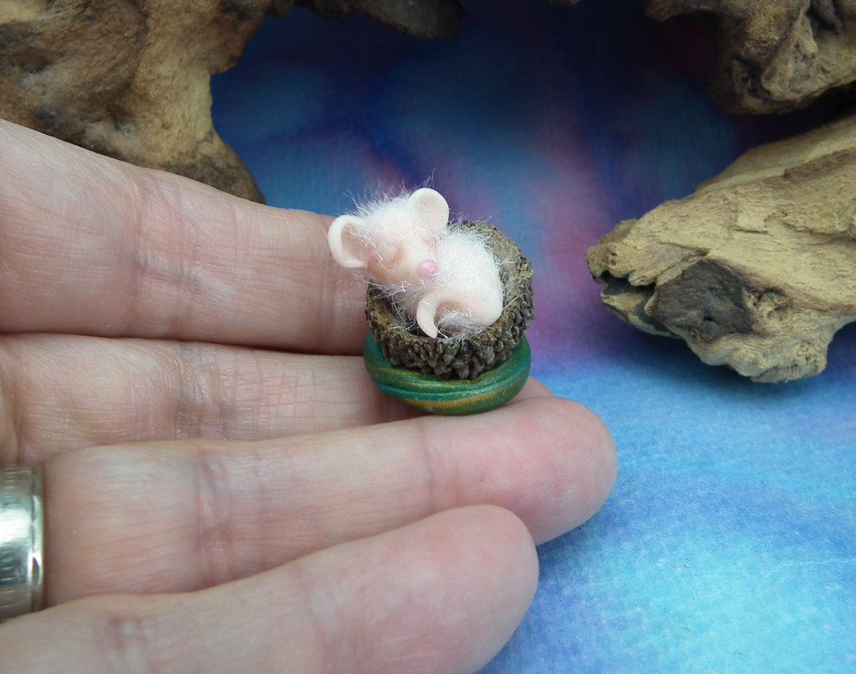 ElfWorldArtisan's tweet image. Isolde Spellbound Mouse in acorn cap ...

etsy.me/30KFxoF