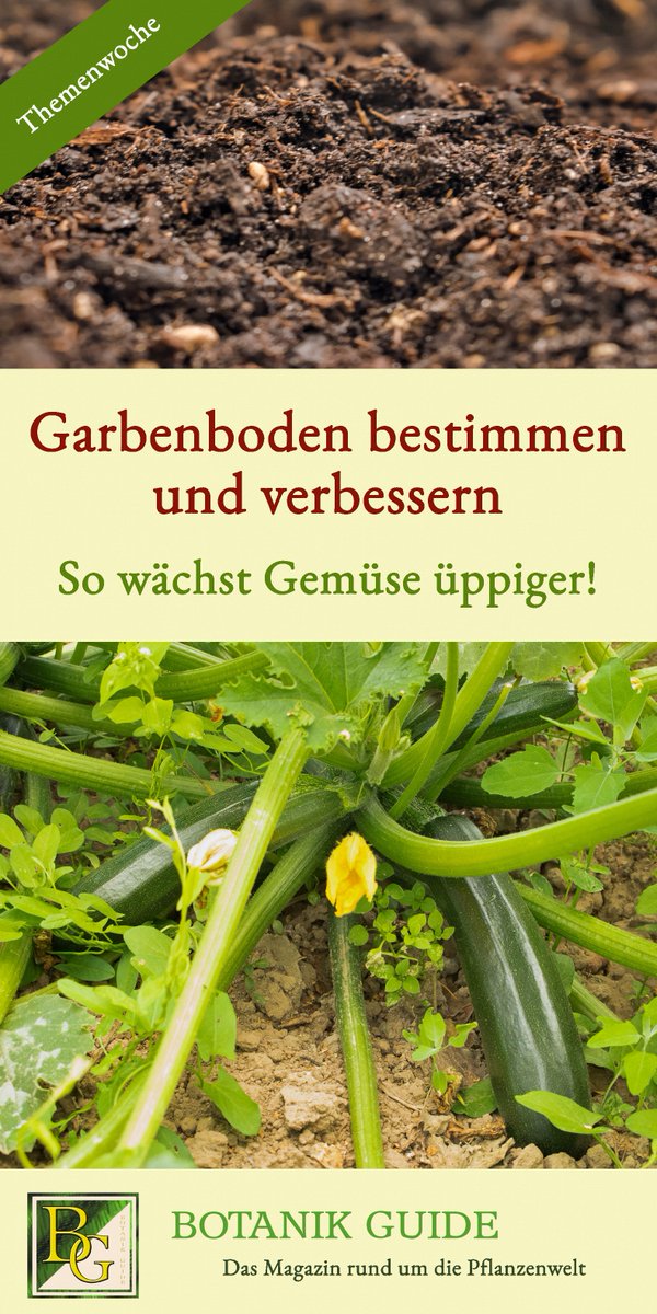 🫑🍅Manchmal wächst #Gemüse trotz guter Pflege nicht richtig oder bringt nur wenig Ertrag. Bodenprobleme sind ein häufiger Grund dafür. Wie der Boden fruchtbarer wird, erfährst du hier: botanikguide.de/gartenboden-be…

#Garten #Kleingarten #Nutzgarten