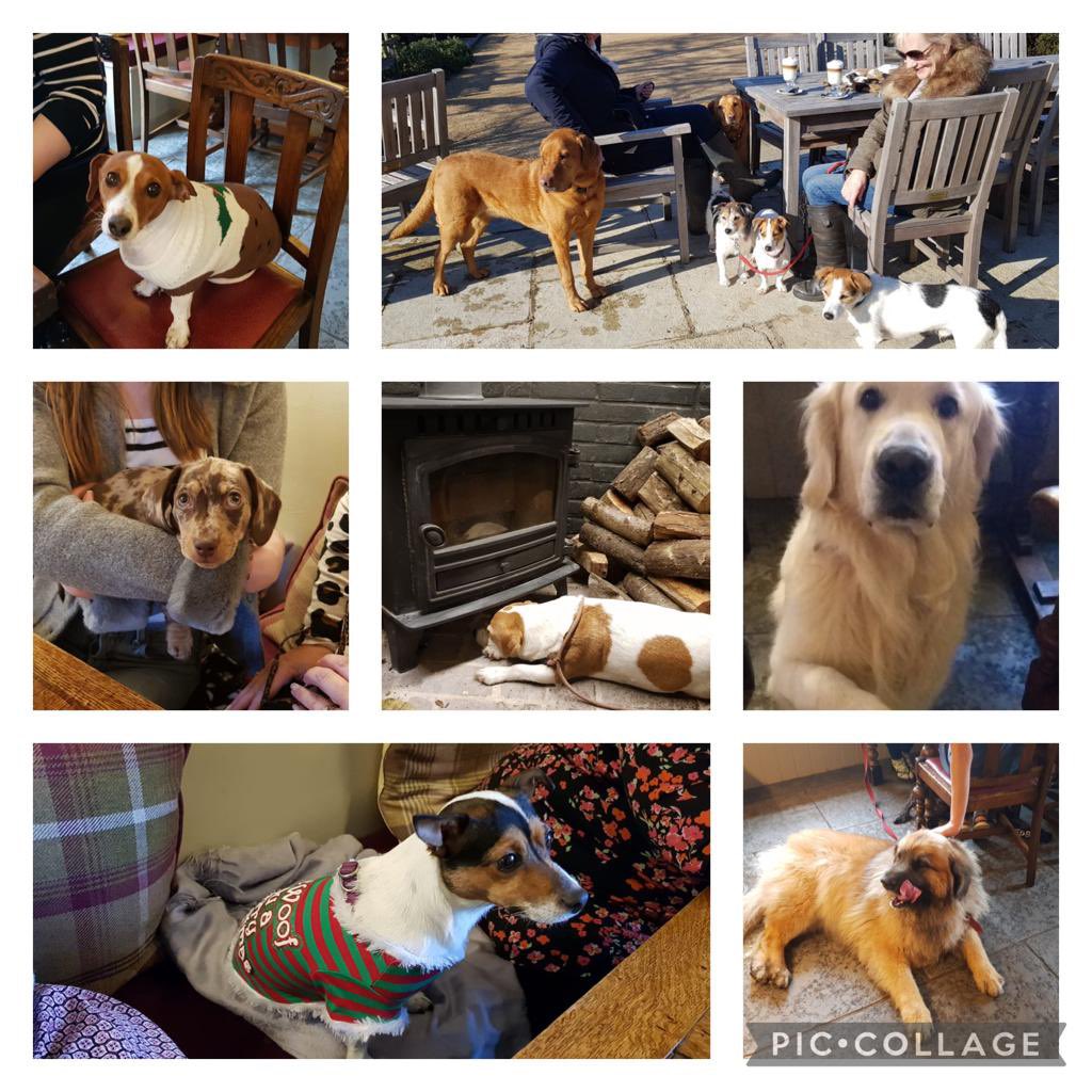 Very much looking forward to welcoming these guys back from 14th April. The countdown has started!!

#dogfriendly #suffolkpub #properpub #pubgarden