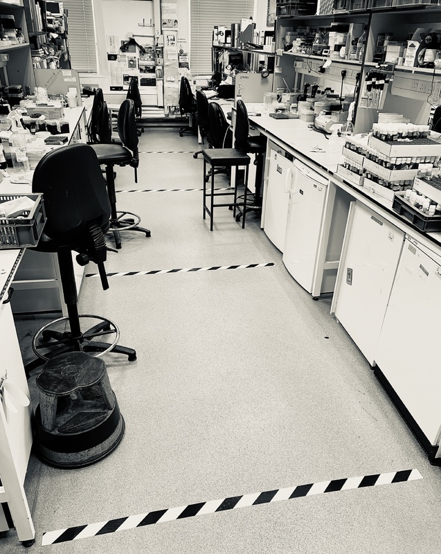 University and college buildings stood empty during the lockdowns. This was the Dunn School <a href="/OxfordMedSci/">Medical Sciences</a> - staff/students share your reflections and thoughts of lockdown as we near the 1st year anniversary. lwf.it.ox.ac.uk/s/lockdown/pag…