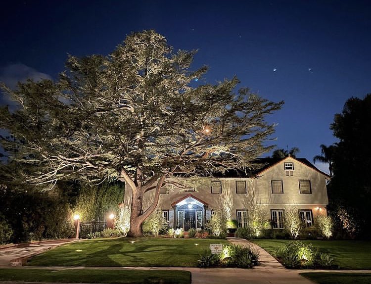 Cali_Lighting's tweet photo. Quick iPhone shot of the most beautiful tree we have ever illuminated! Still have some minor details to take care of. (Cool white porch lights gotta go!) Happy Saturday everyone!
.
.
.
#lighting #landscapelighting #outdoorlighting #moonlight #losangeles #socal https://t.co/ebWvXjaBpu