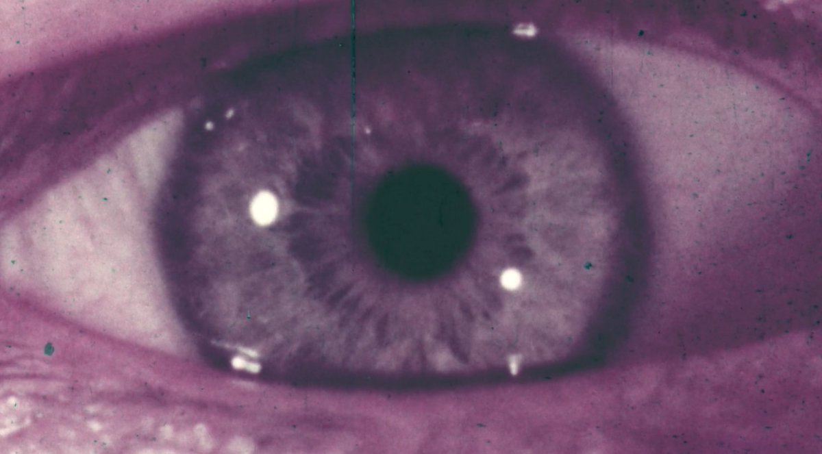 Criterion Channel tweet media