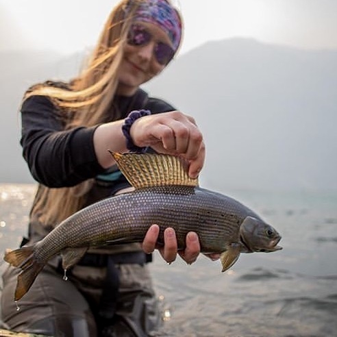 Look at this beautiful #fish. What is the name of this fish?