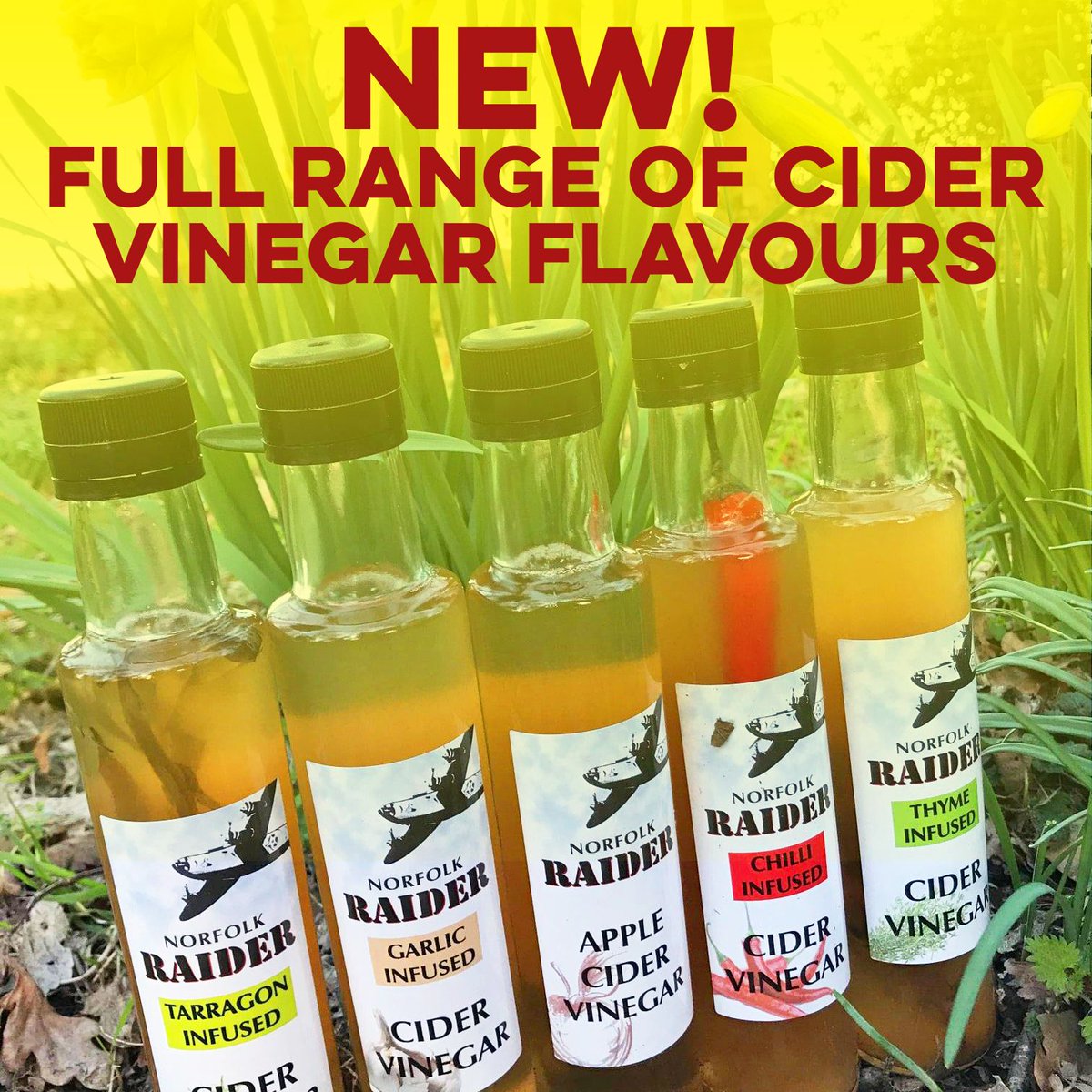 We've got a new addition to our website store! 😃

We've added a whole range of new cider vinegar flavours including Tarragon, Garlic, Chilli &amp; Thyme infused. 

Get yours here: norfolkraidercider.co.uk/shop

#CiderVinegar #Norfolk #Cider #NorfolkCider #Norwich #CiderLove
