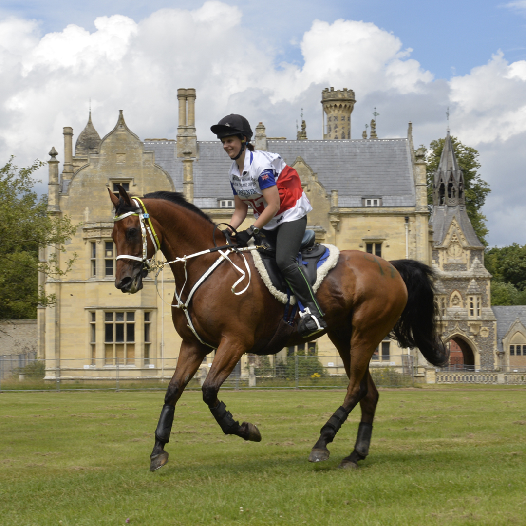 Organisers confirmed today they are sincerely hoping that Euston Park endurance rides will go ahead in 2021. READ MORE: bit.ly/3lg3VYE