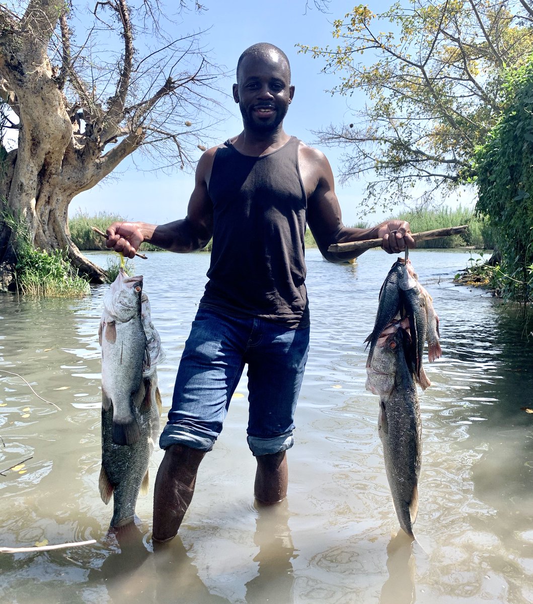 Senator Kajwang I Went Fishing This Morning In Lakevictoria We Caught Tilapia And Nile Perch A Good Fisherman Understands The Wind And Of Course The Fish In Tanzania Are All Senator Kajwang I Went Fishing This Morning In Lakevictoria We Caught Tilapia And Nile Perch A Good Fisherman Understands The Wind And Of Course The Fish In Tanzania Are All