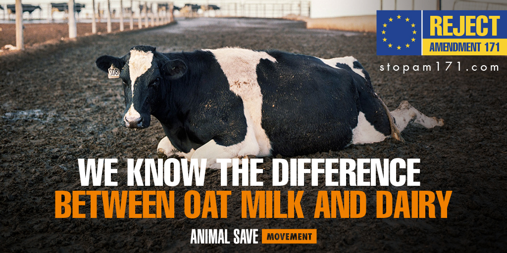 Justin Aragon tweet media