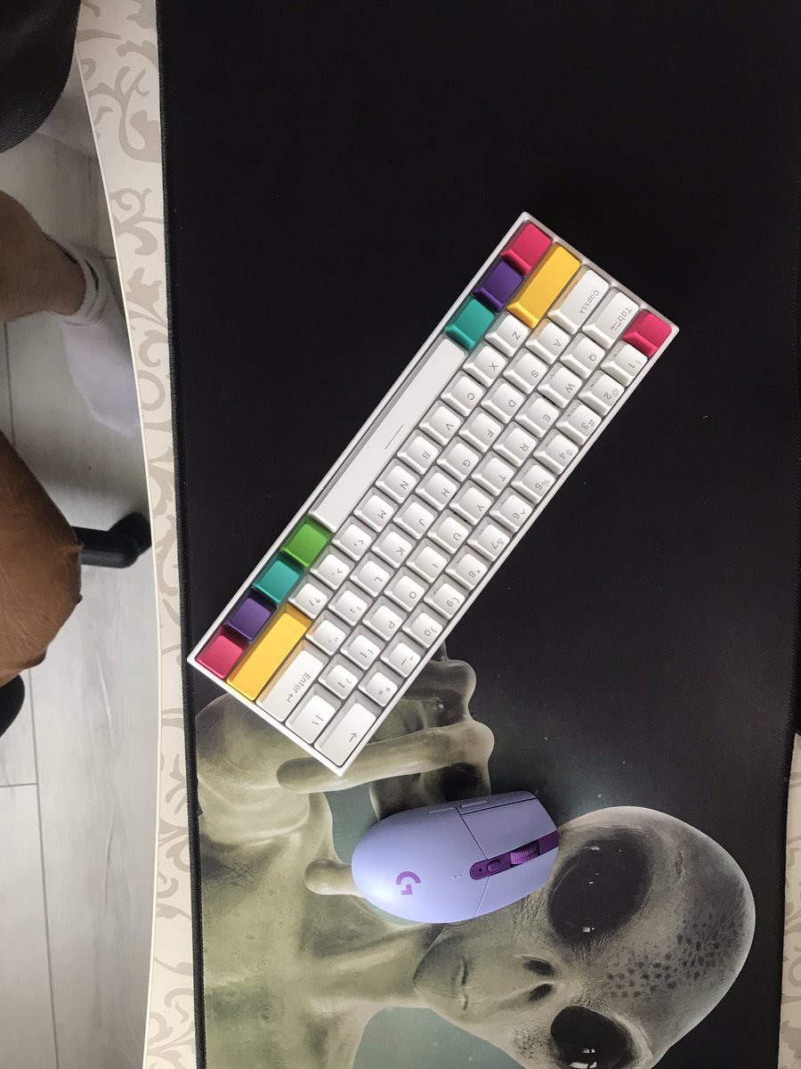 LMonfn's tweet photo. New device 
Mouse:(Logitech G305 purple)🐁
Keyboard:(Anne pro 2 white)🔡
🆙change🆙:❌i3 9100f❌➡️                            ➡️✅🆕i5 9600kf🆕✅➡️? https://t.co/pIoNZWL5rd