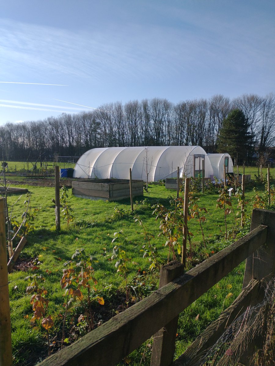 We're excited to let you know we're working on a #BradwellAbbey Box Scheme, order &amp; collect produce from our allotments &amp; curated drinks packages. If you could spare 5 minutes to fill out our survey, you might win a large veg box! 🙏▶️bit.ly/3eJcNov