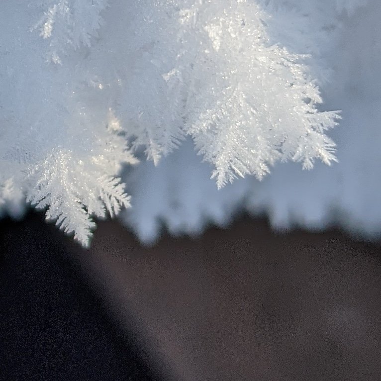 troydcarson's tweet image. 052