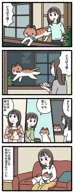 どろぼう猫 
