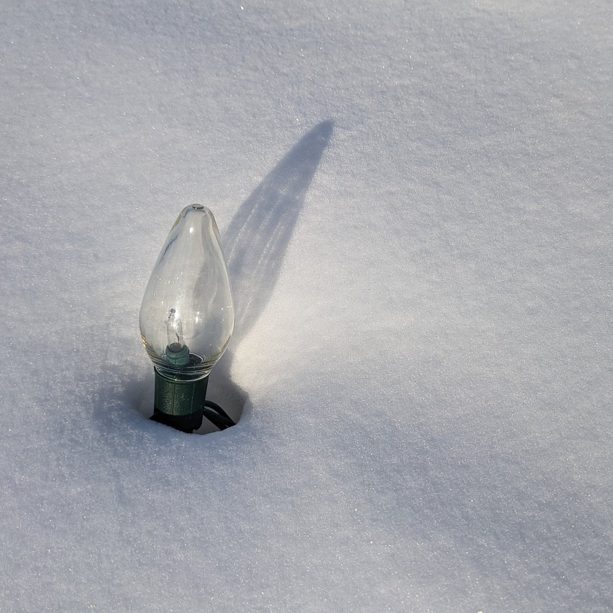 troydcarson's tweet image. 056