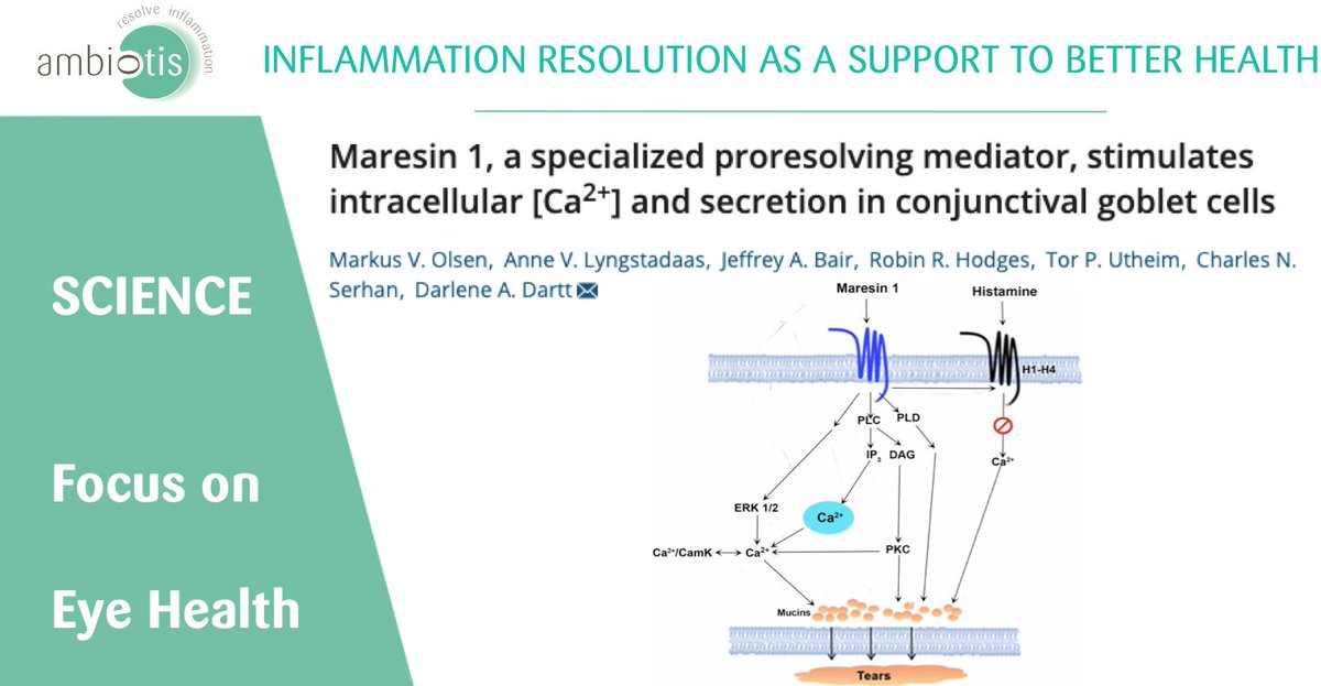 New strategies to treat conjunctivitis or dry eye disease with specialized pro-resolving mediators (#SPM)?
Olsen et al. report here how #maresin 1(MaR1) regulates tear film mucin levels by controlling [Ca2+] levels.
<a href="/LaureSaias/">Laure Saias</a> #InflammationResolution #heath #ambiotis 
<a href="/Ambiotis_/">Ambiotis</a>