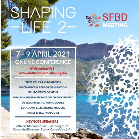 sfbd_biodev's tweet photo. The Shaping Life 2 conference will be held fully online 7-9th April 2021. If you still have not registered, you have until March 19th to do so. https://t.co/3NFjk3TOHc https://t.co/q9aPwu93i2