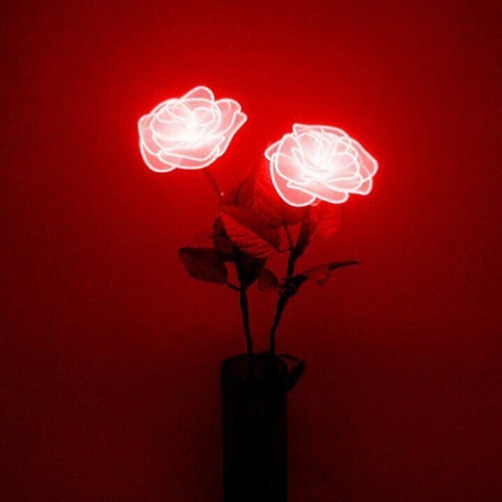 hi everyone ! I’m a new thinker account for purple kiss’ yuki ! please interact with my tweets <3 stan purple kiss !! 🌹💭