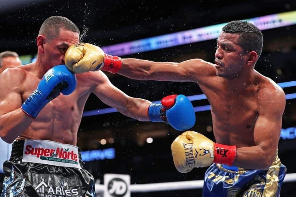 LyneKristina's tweet photo. @chocolatitobox, dejaste a la altura a Nicaragua. SOS y serás nuestro campeón.
#VictoriaChocolate
@WankiTagni
@SABRINA28499124
@chocolatitobox
@CalvoDoriam
@LauraPa00623967 https://t.co/yBgISKYEIt https://t.co/JiZf3RTVZX