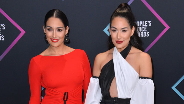 Nikki and Brie Bella (@bellatwins) reveal how far they still have to go before hitting their post-pregnancy weight loss goals! Exclusive: https://t.co/0m6CZvz2t4 https://t.co/dhkPOMMkMr