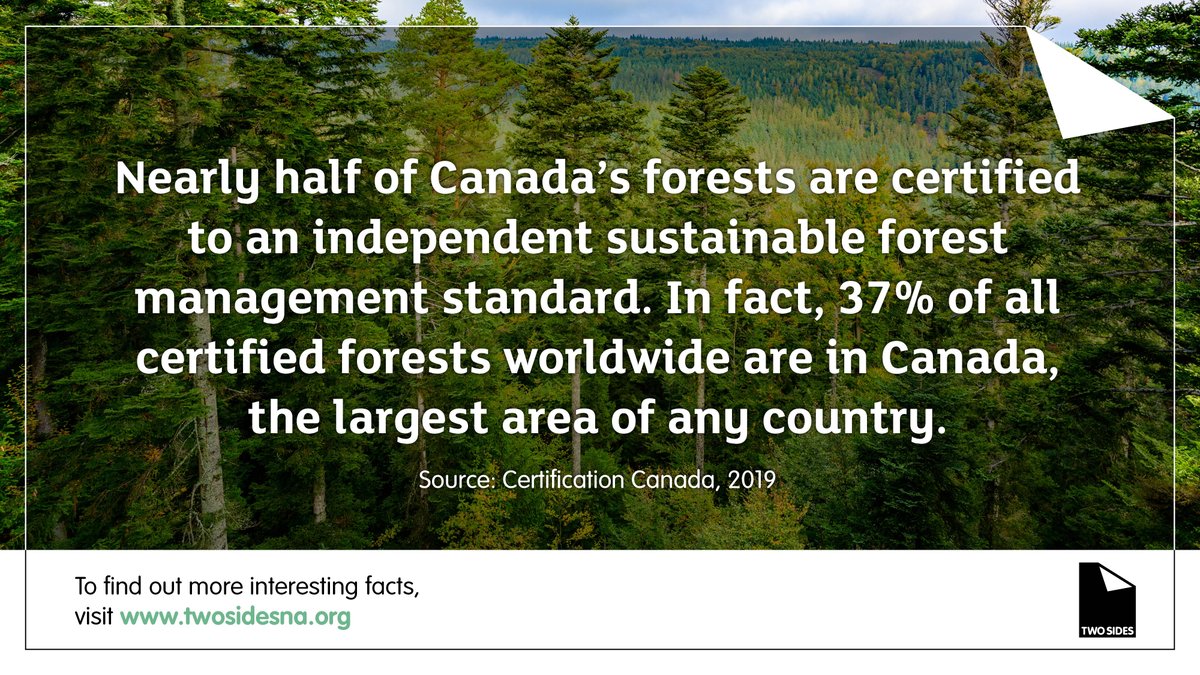 TwoSidesNA's tweet photo. The demand for responsibly produced paper provides a financial incentive for Canadian landowners to keep their land forested and manage it sustainably rather than selling it for development. Learn more:
#GreenJobs #ForestProducts #PaperFacts #TwoSidesNA https://t.co/D4SeARSeq4 https://t.co/o6sbprLyXI