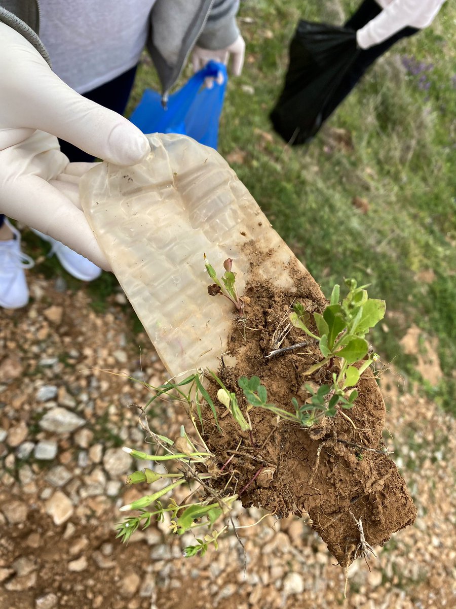 Όταν η φύση τα καταφέρνει με κάθε τρόπο! 🌱 3ος καθαρισμός στη περιοχή του Πορτο Ραφτη. @AthTogether #CleanPortoRafti #volunteering #ΠορτοΡαφτη #togetherath