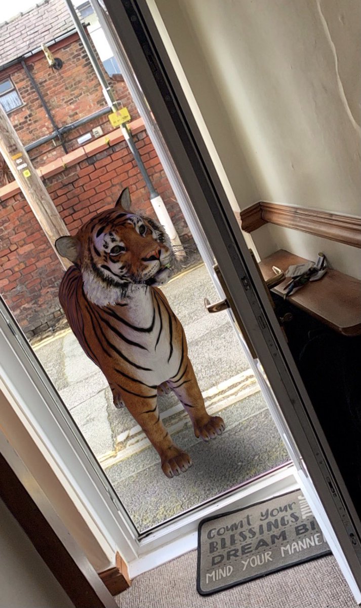 EHU_DL's tweet image. Join our TeachMeet today and Emily will explain how you can incorporate AR (like pokemon go) into your teaching practice! See the example of how it was used when teaching ‘The tiger who came to tea’. #techwizards #EHUTeachMeet
Use the QR code or link to join! 😁😁