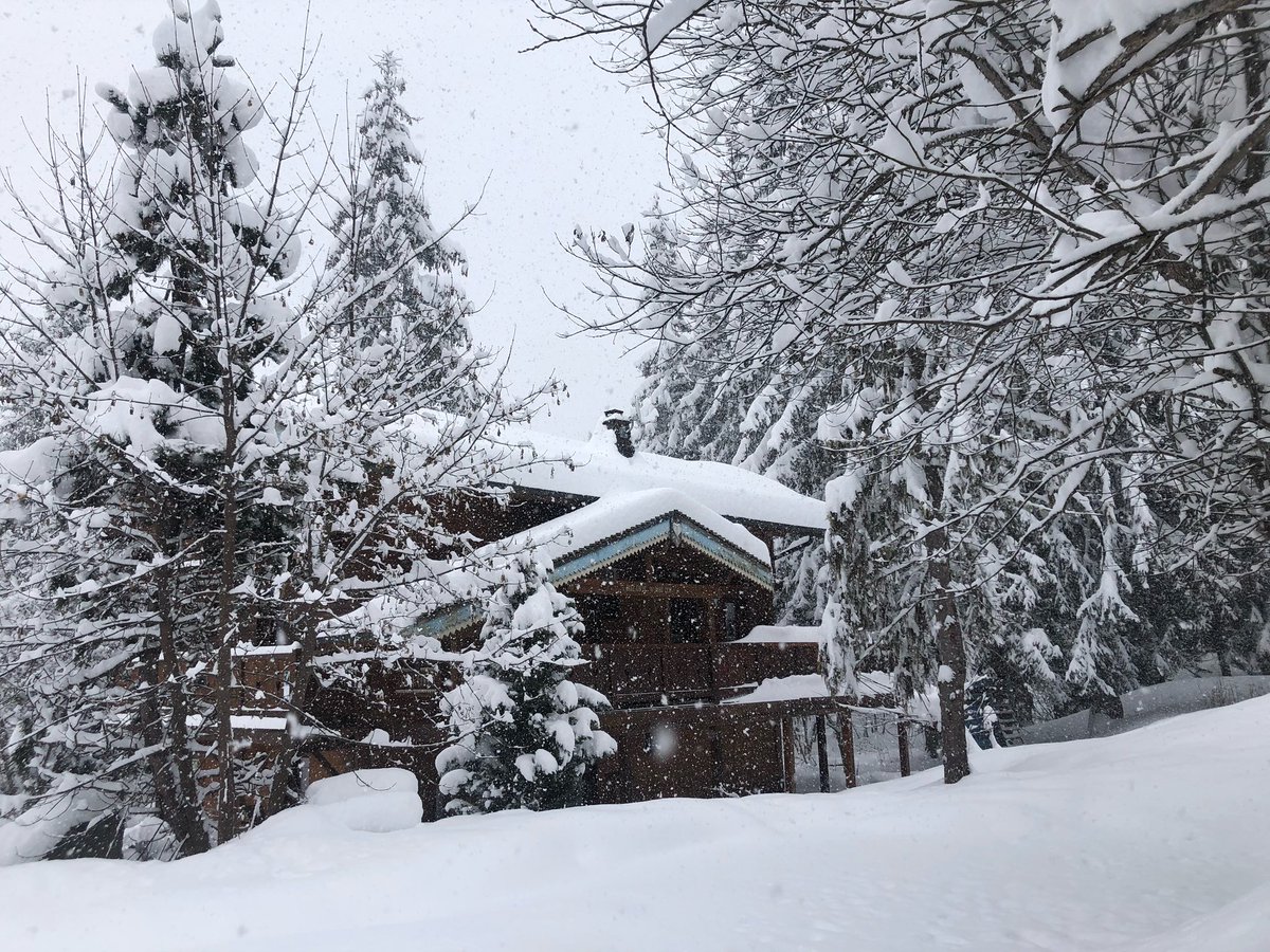 3valleychalets's tweet photo. massive snow in La Tania @3valleychalets on the 15th March 2021 and it looks set to continue all week #keepthewinterdreamalive #latania #courchevel #backstronger2022 #chaletcotecoeur #3vallees #3valleys #marchsnow #dumpingsnow https://t.co/4wJ11G9o3k