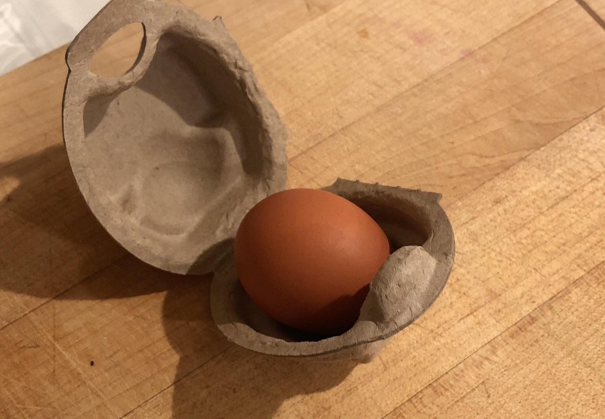 mrpeterwright's tweet photo. Delighted to announce that the nice man on the market sold me my first console since 1993: The Eggbox 1 Egg. It is quite clearly wireless, which is exciting, but how do I switch it on? Hashtag. https://t.co/9Zcw3W4ipD