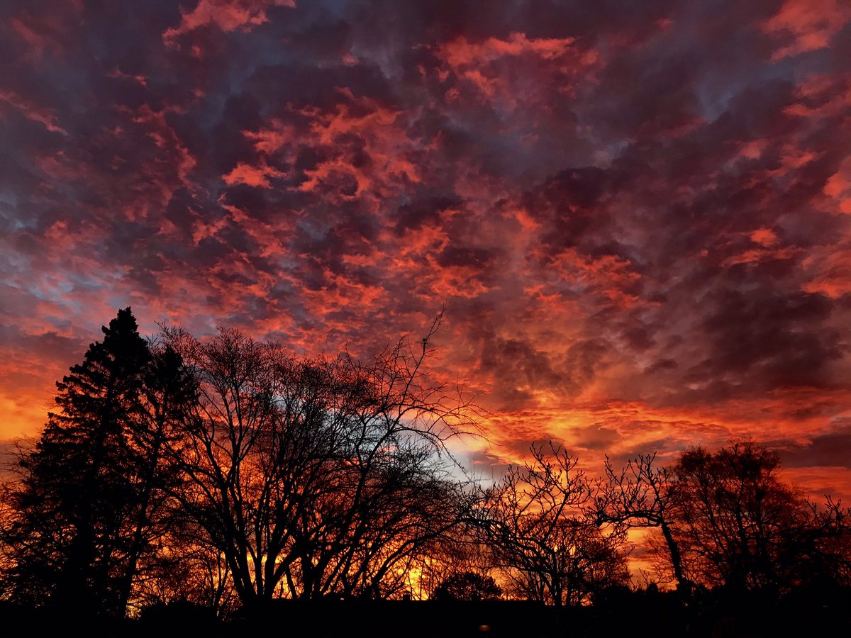 mdesisti's tweet photo. Holy sunrise this morn! This is the best I could do w/ my iPhone from my porch while burning my kid’s breakfast.   But, wow!  #wiwx #sunrise #weather https://t.co/dOyWyNQrz1