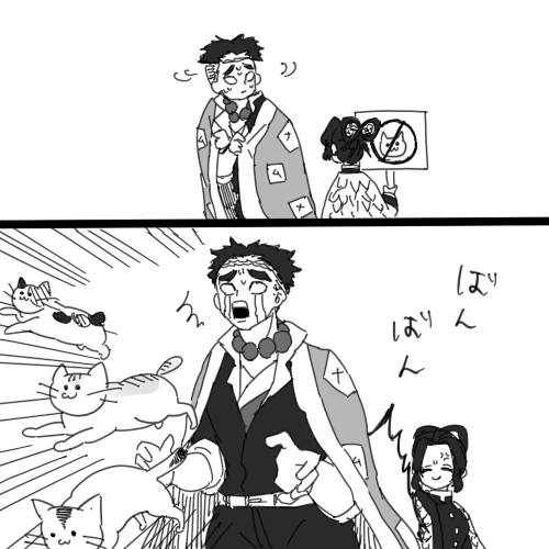 猫BANBAN 