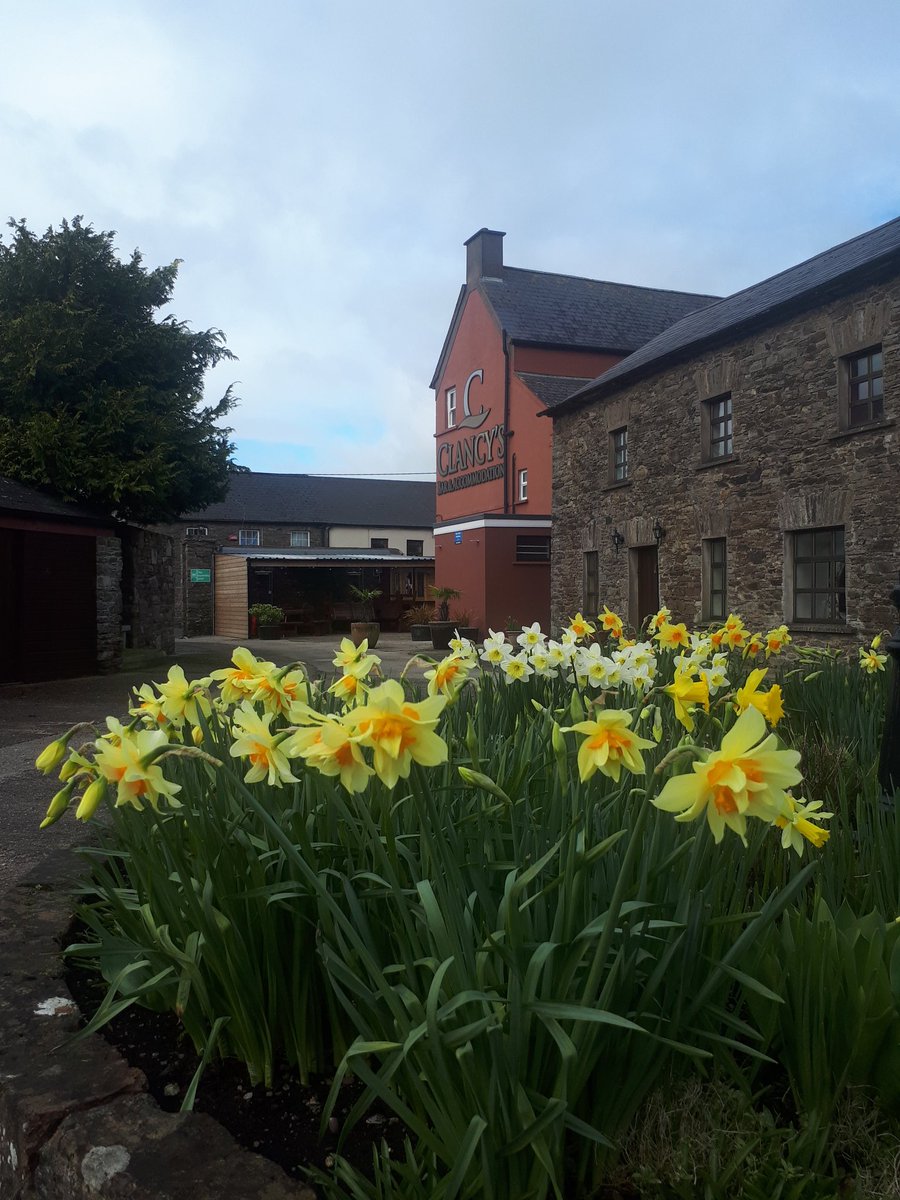 Clancy's Bar Tallow tweet media