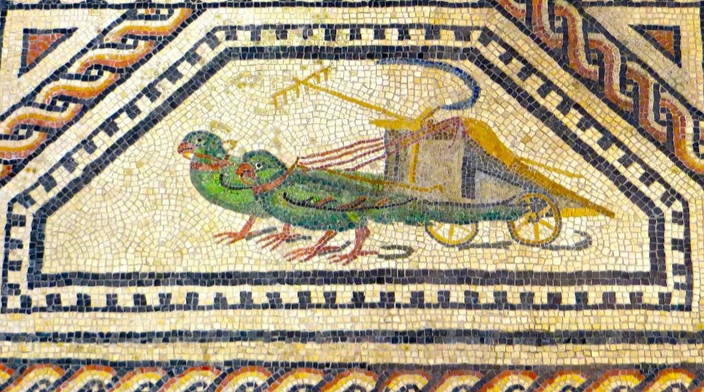 DrNWillburger's tweet photo. For #MosaicMonday a detail of the impressive Dionysus mosaic in Cologne, depicting two parrots (parakeets?) pulling a chariot loaded with a rake and a sickle. Dating 3rd century AD.
Römisch-Germanisches Museum 

#RomanArchaeology https://t.co/OKQxboxx0b